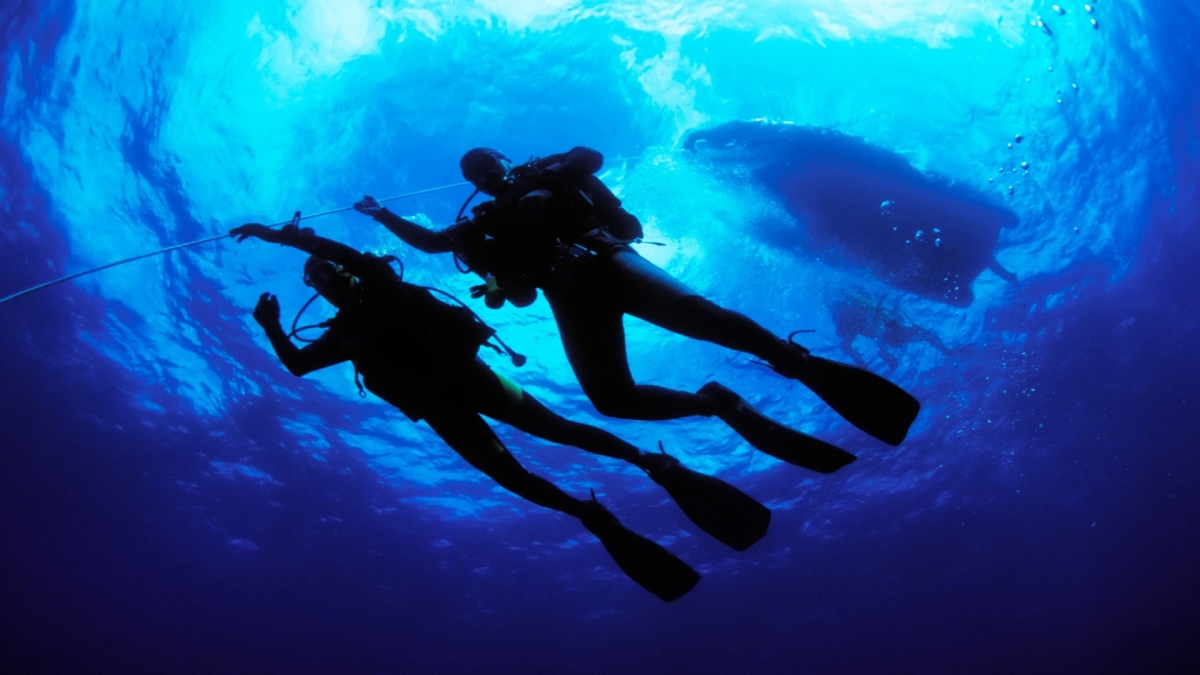 Scuba Diving Gap Marion Bay Yorke Peninsula South Australia Australia