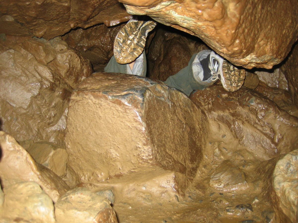 Ass spelunking