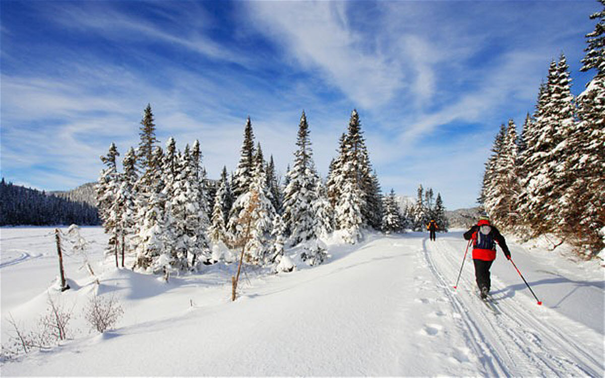 Cross Country Skiing Canada Olympic Park Calgary Alberta Canada